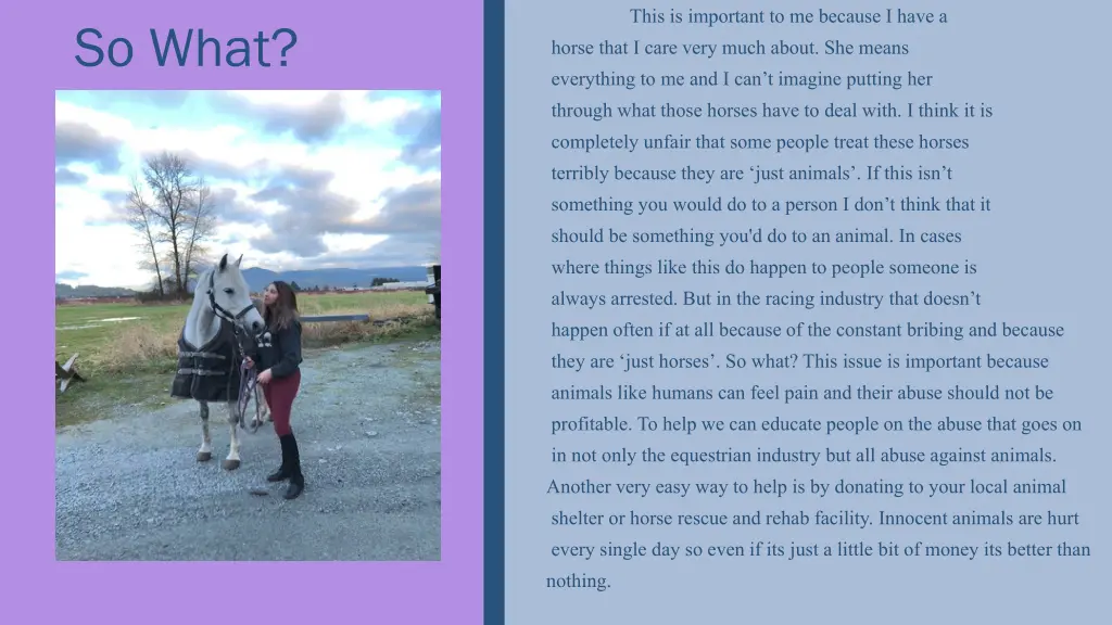 this is important to me because i have a horse