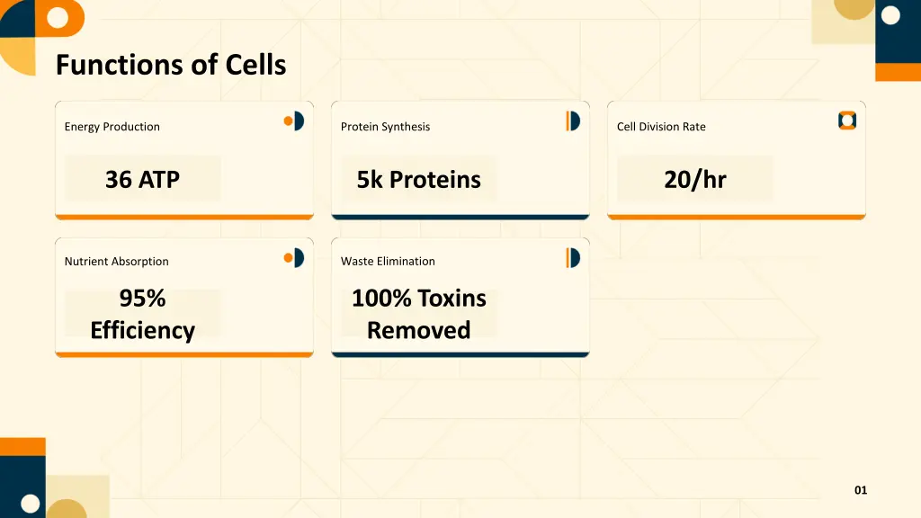 functions of cells
