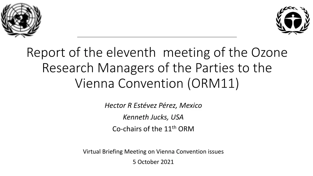 report of the eleventh meeting of the ozone