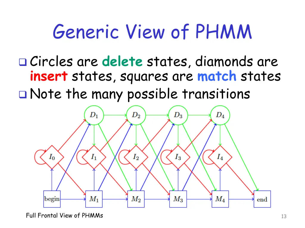 generic view of phmm 1