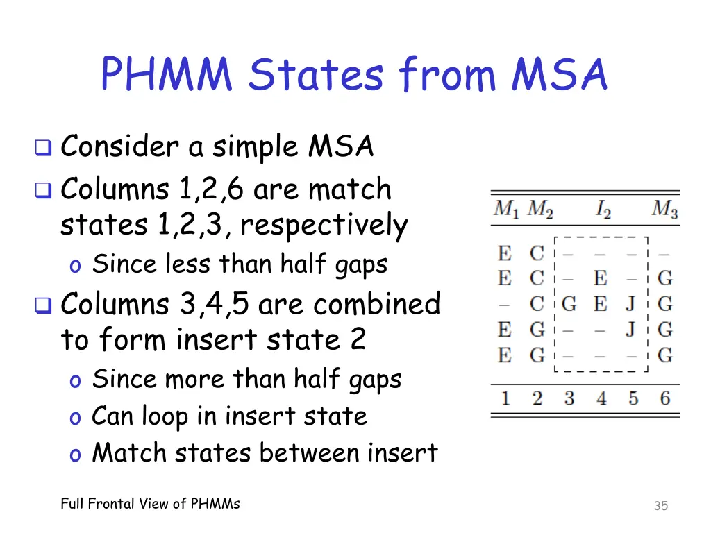 phmm states from msa