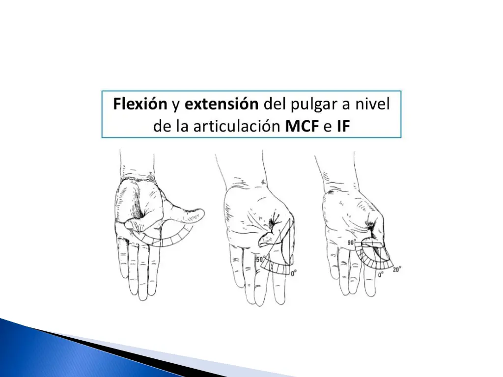 slide8