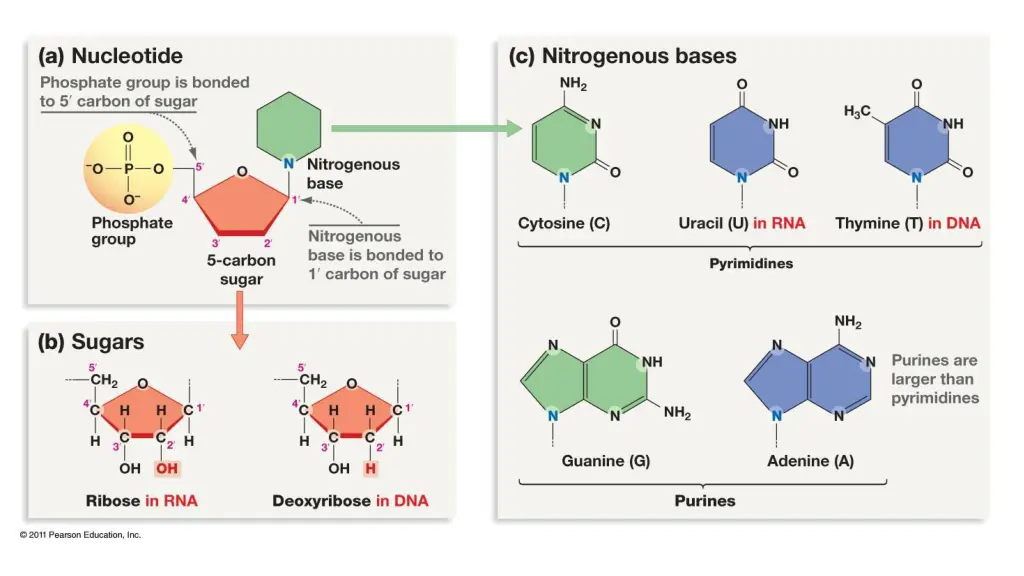 slide3