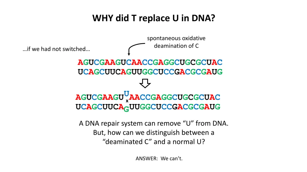 why did t replace u in dna