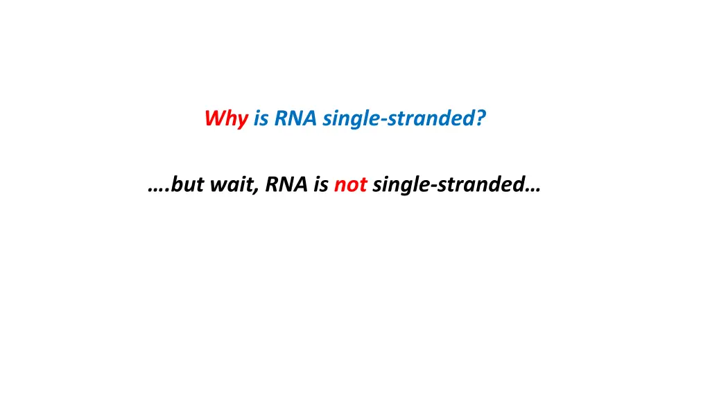 why is rna single stranded