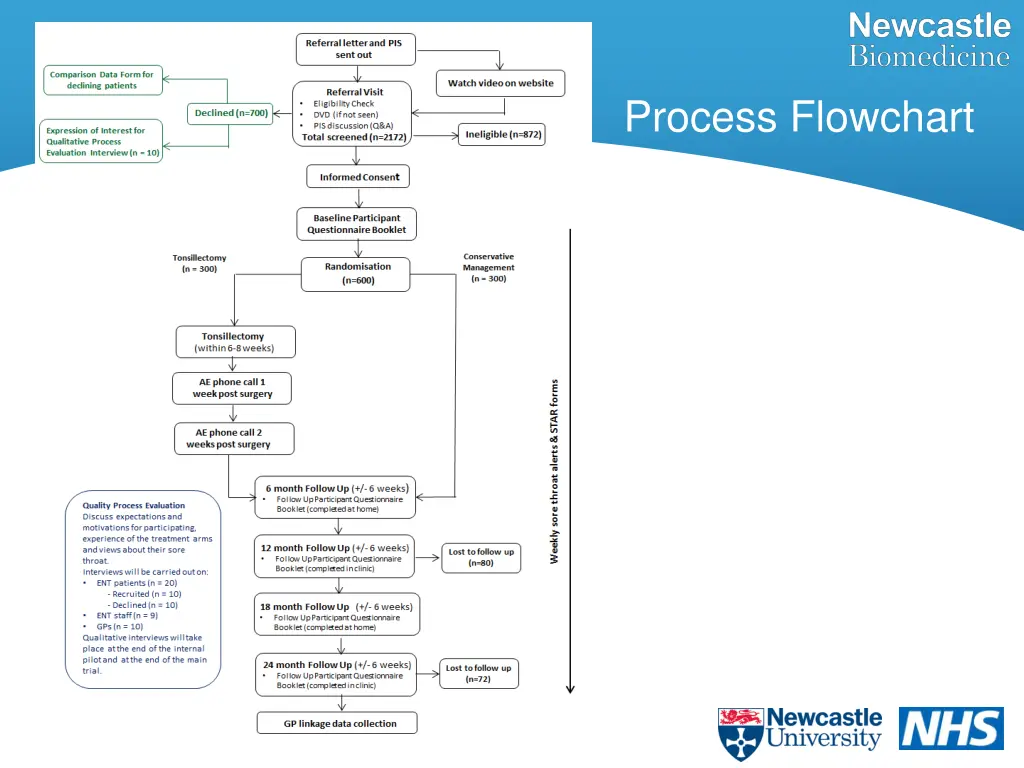 process flowchart