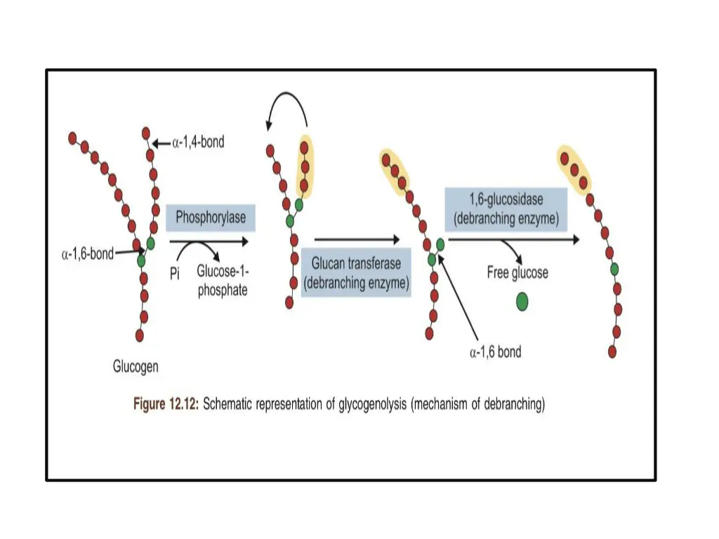 slide11