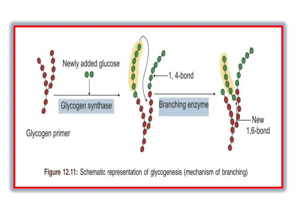 slide9