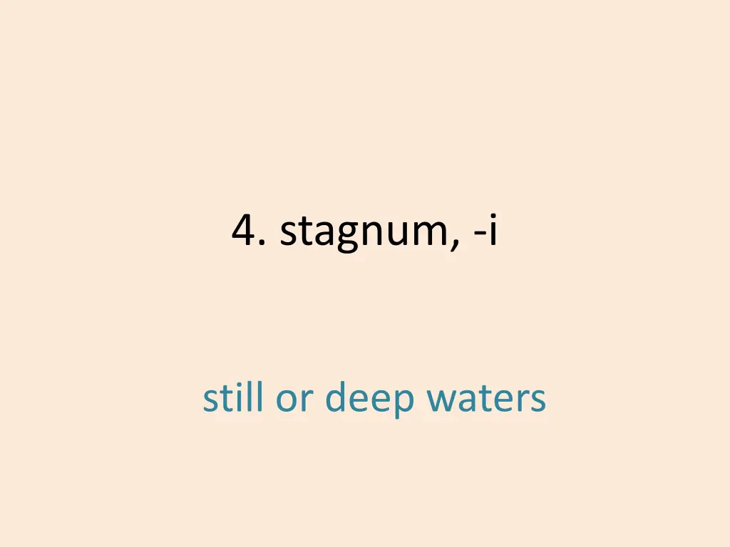 4 stagnum i 1