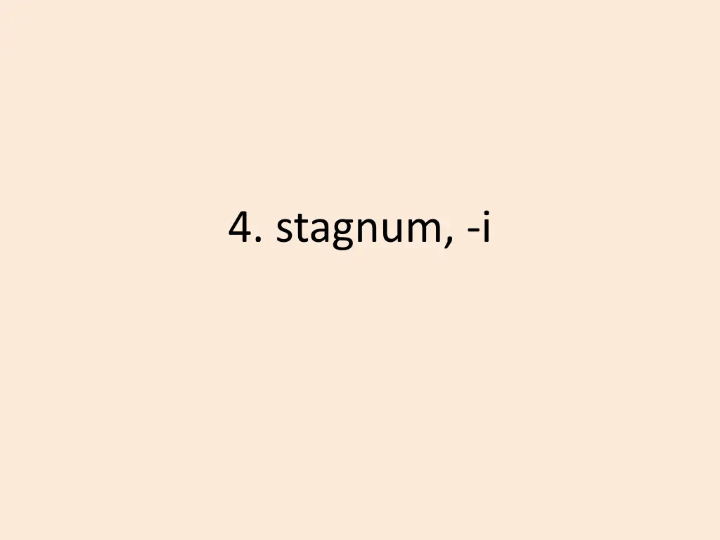 4 stagnum i