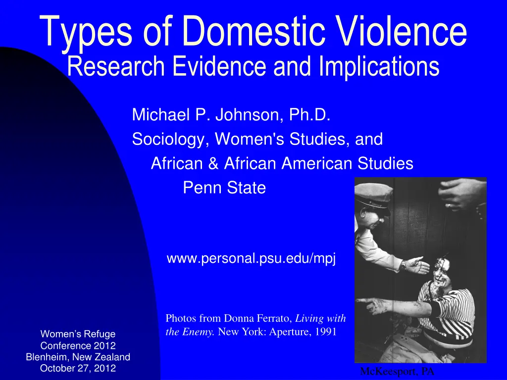types of domestic violence research evidence