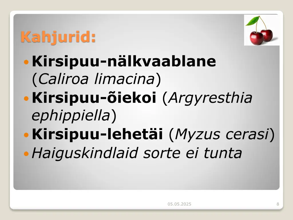 kahjurid