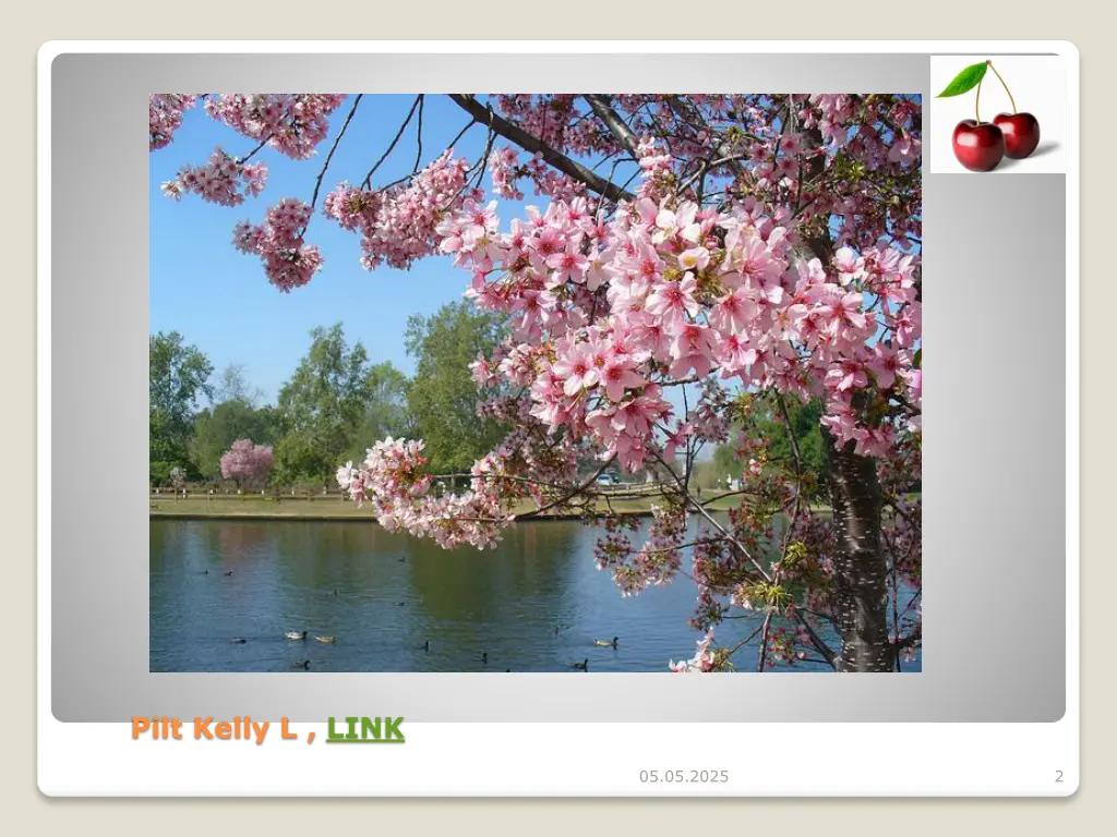 pilt kelly l link