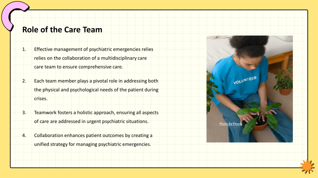 role of the care team