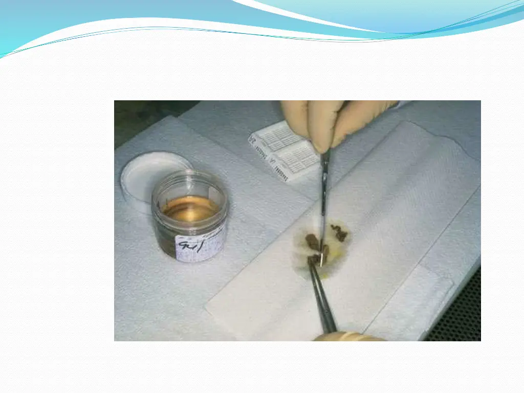 slide13