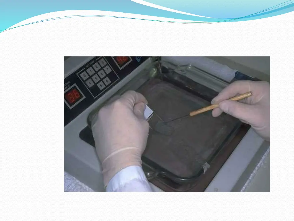 slide37