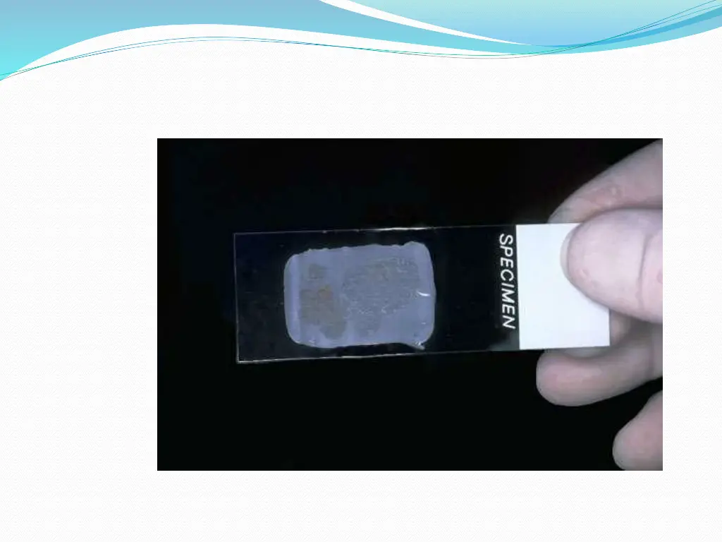 slide38