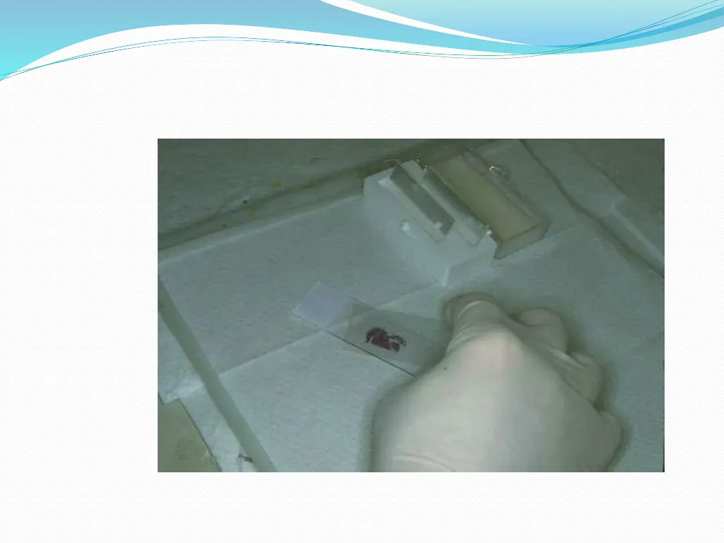 slide45