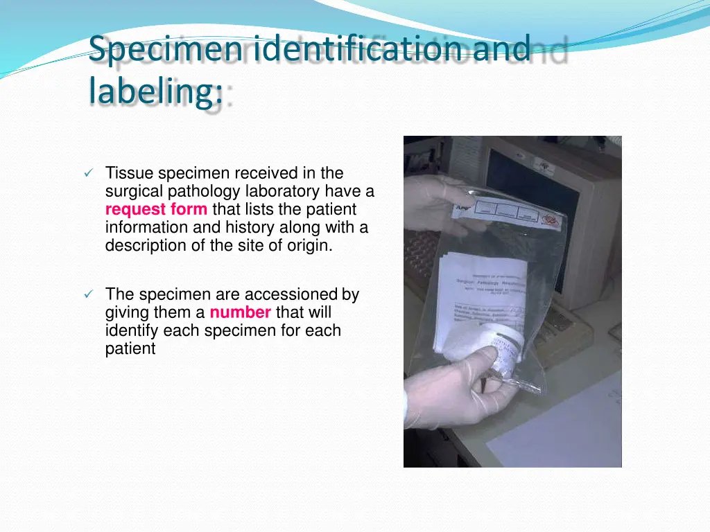 specimen identification and labeling