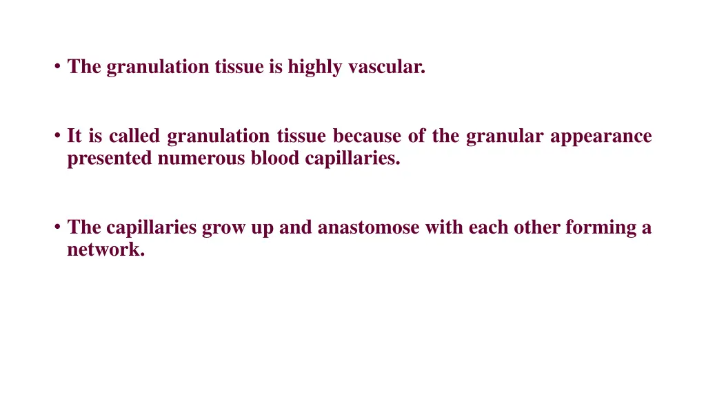 the granulation tissue is highly vascular