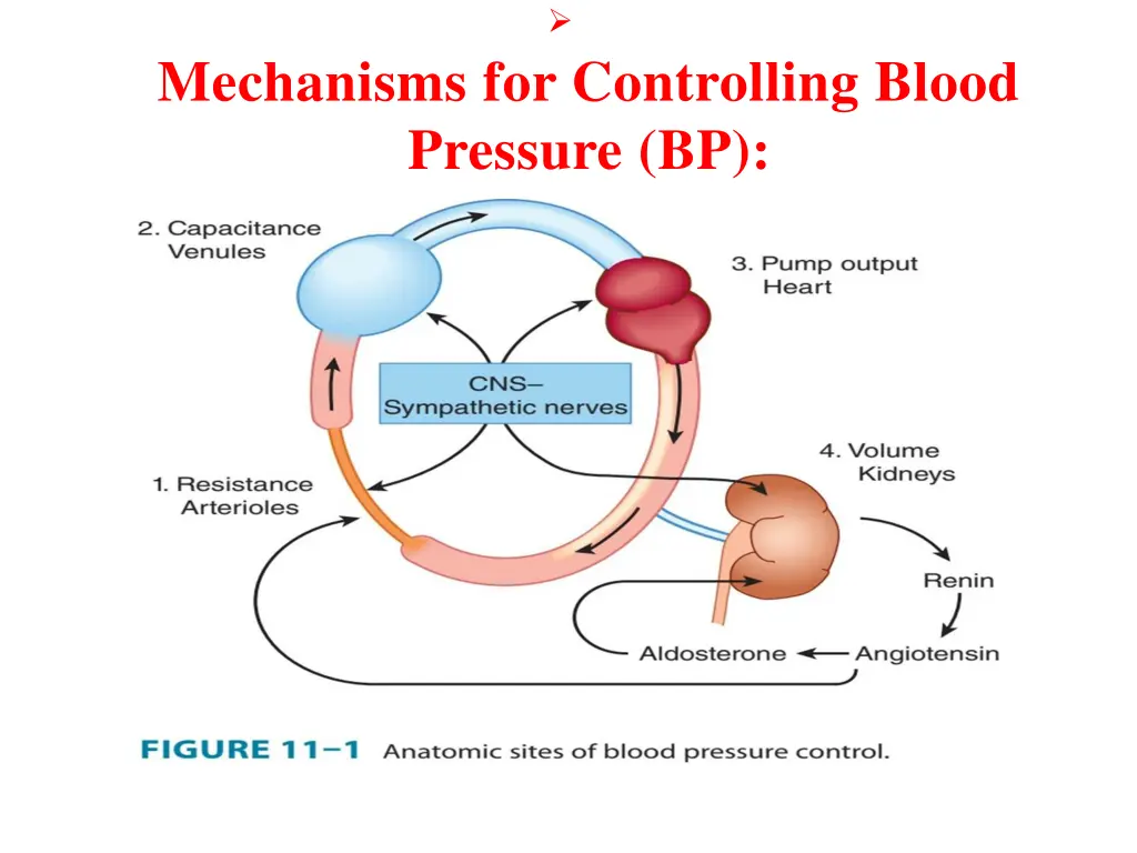 slide2