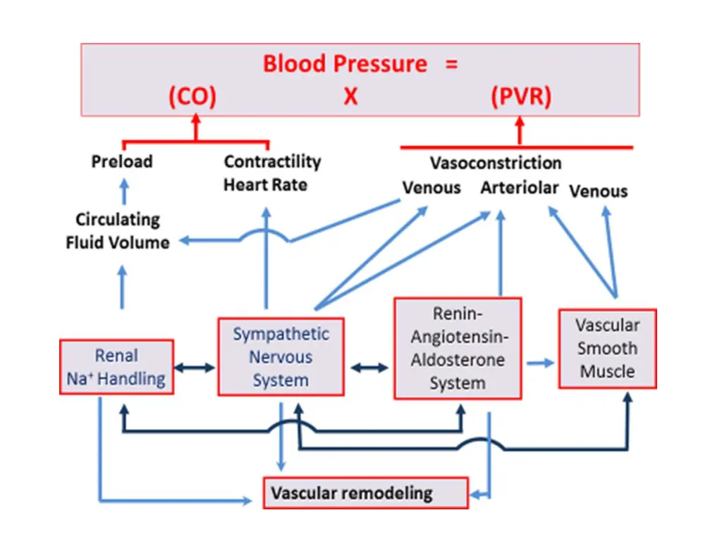 slide3