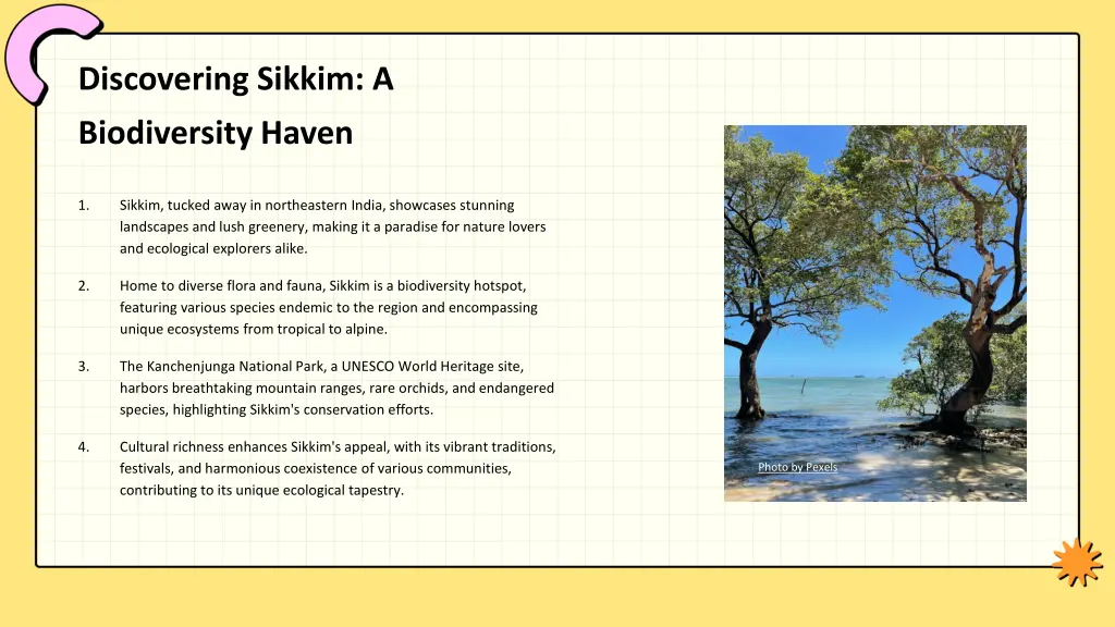 discovering sikkim a