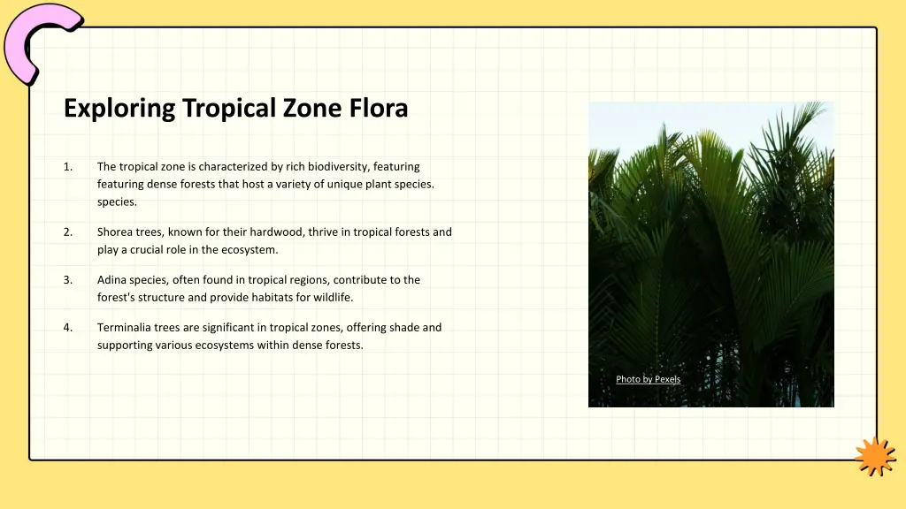 exploring tropical zone flora