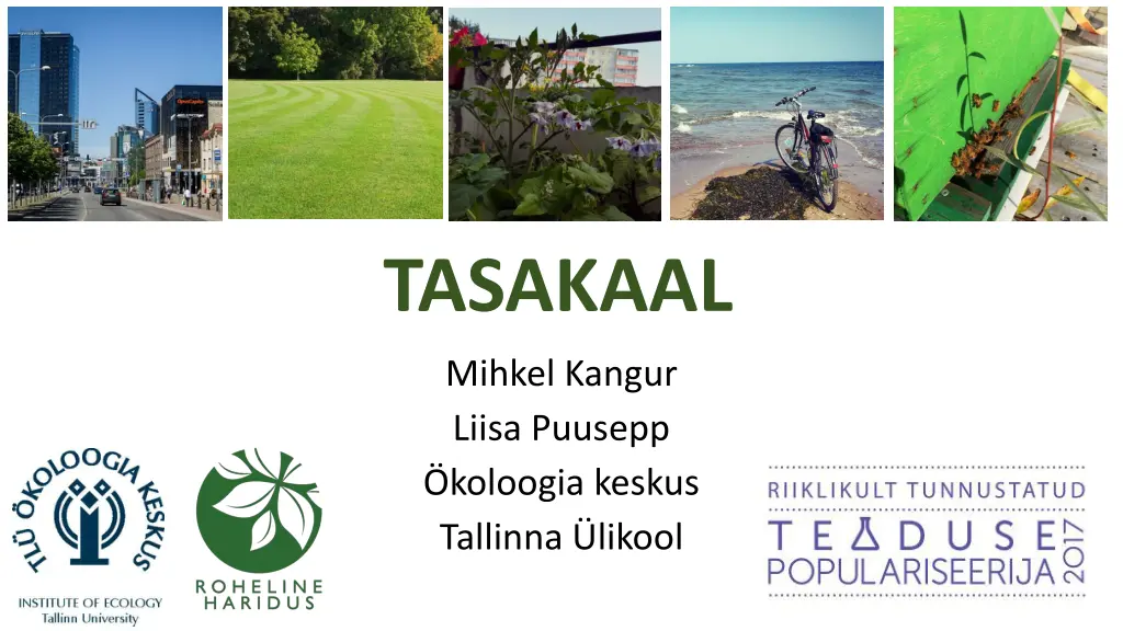 tasakaal