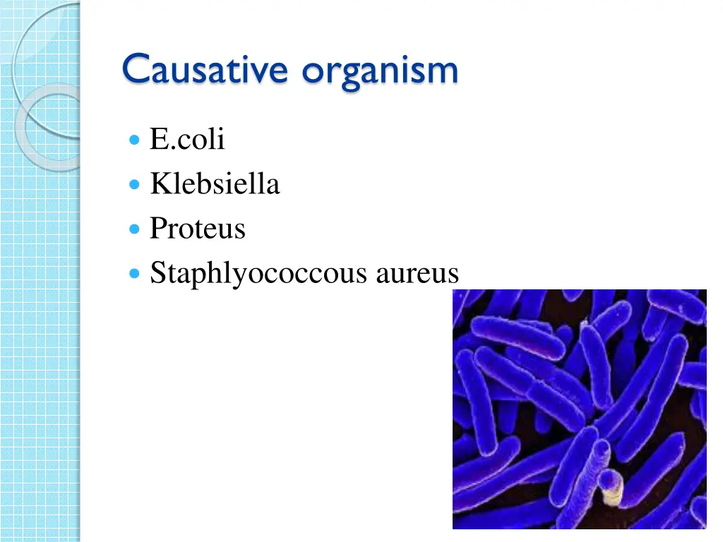 causative organism 1