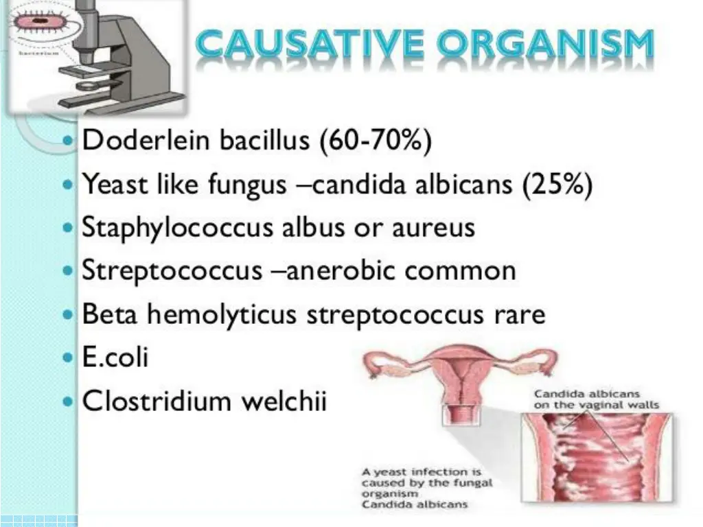 causative organism