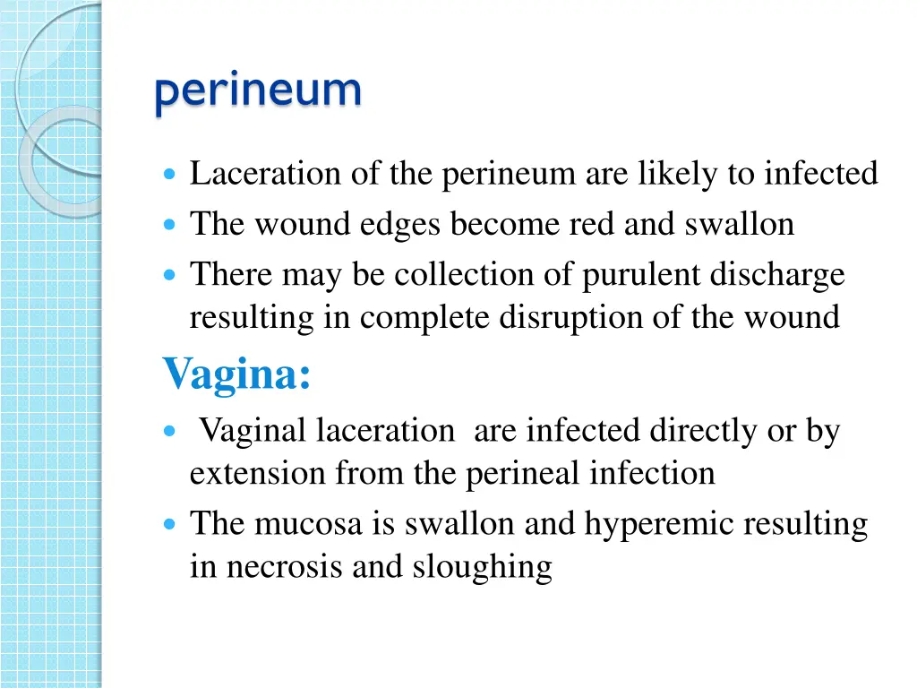 perineum