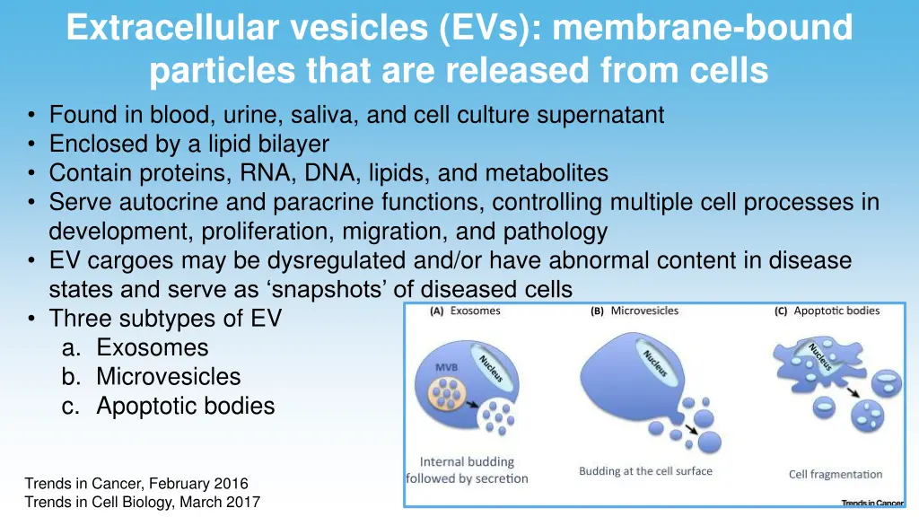 extracellular vesicles evs membrane bound