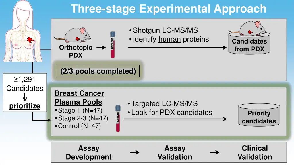 three stage experimental approach 1