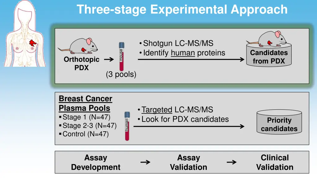 three stage experimental approach