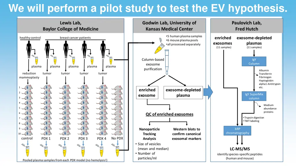 we will perform a pilot study to test