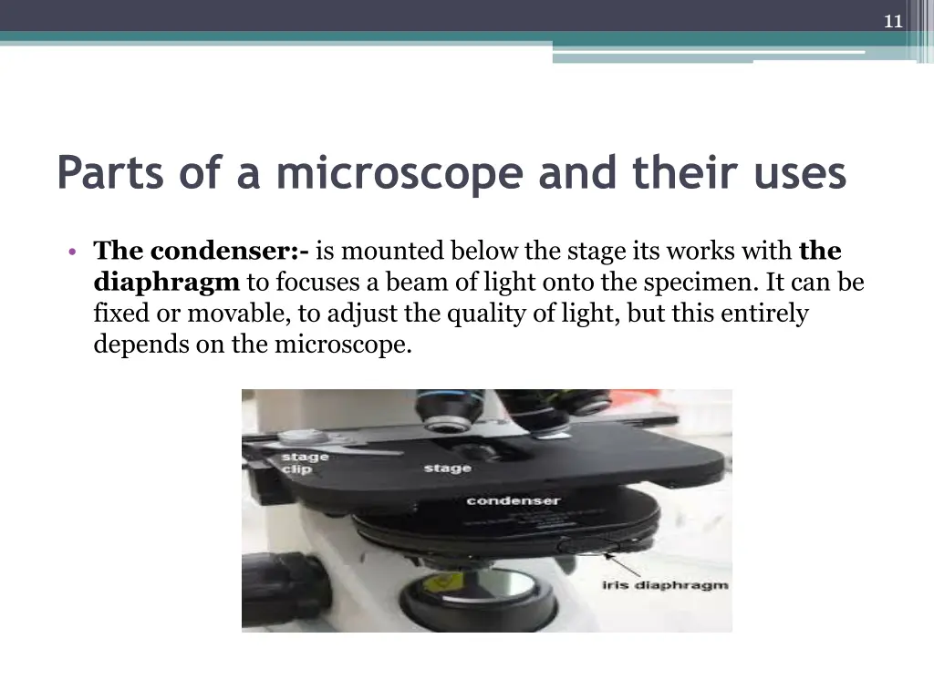 slide11