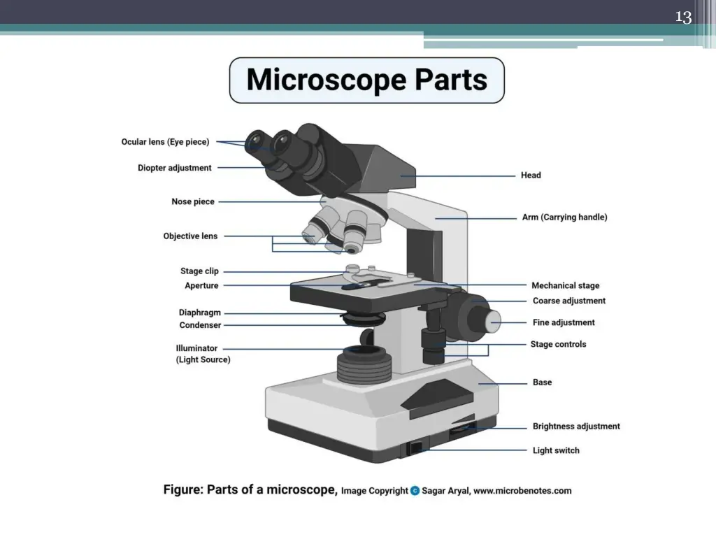 slide13