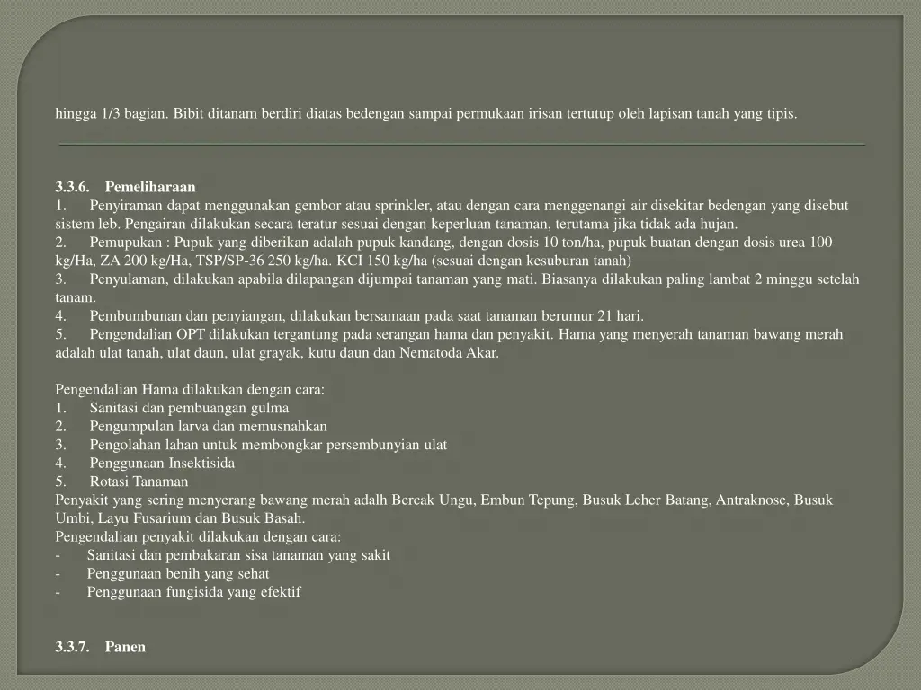 hingga 1 3 bagian bibit ditanam berdiri diatas