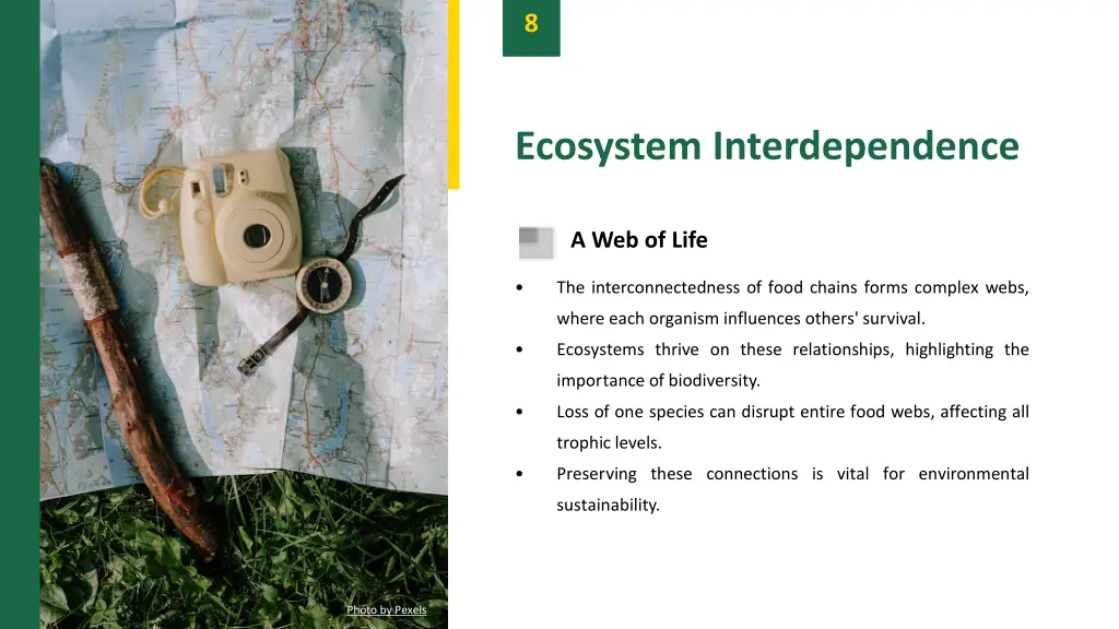 slide10