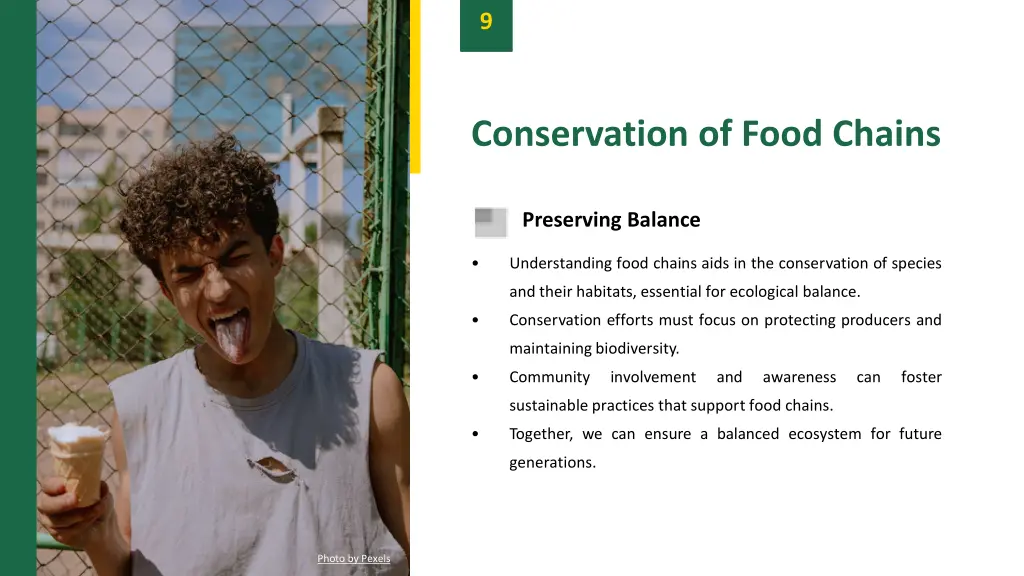 slide11