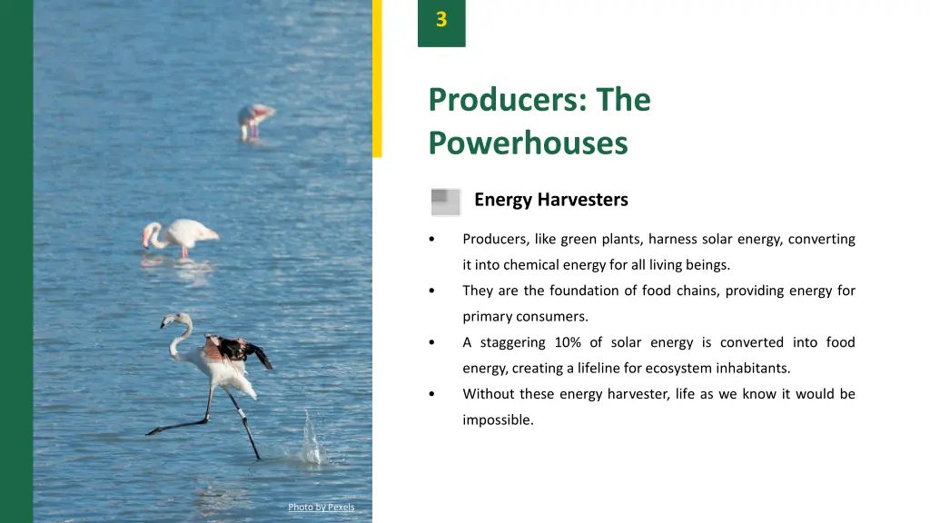 slide5