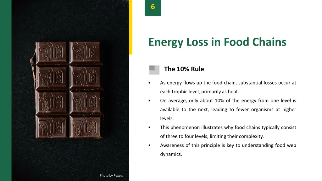 slide8