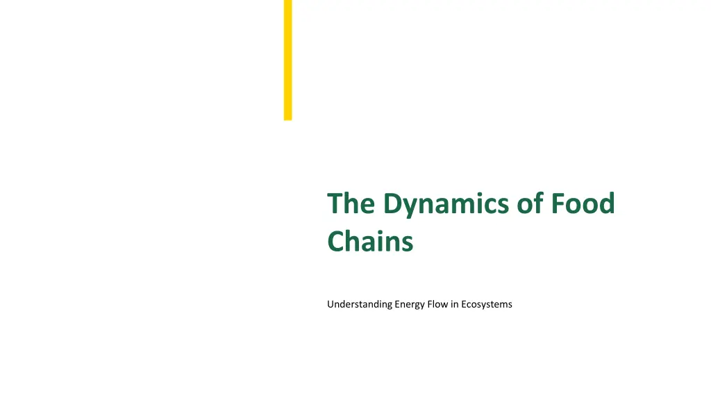 the dynamics of food chains