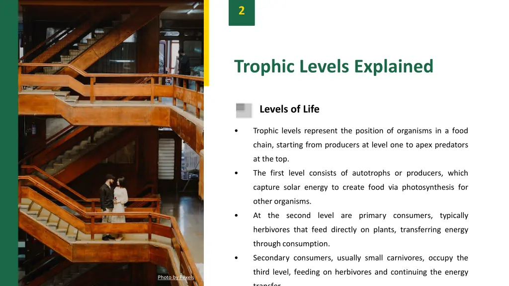 slide4