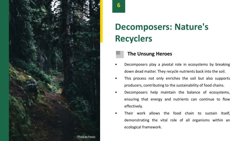 slide8