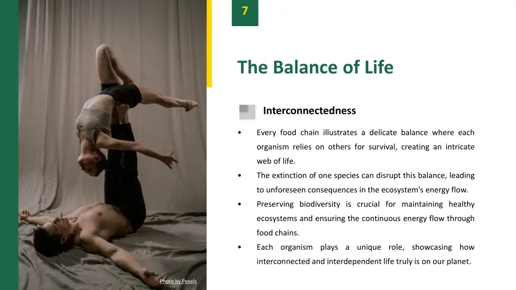 slide9