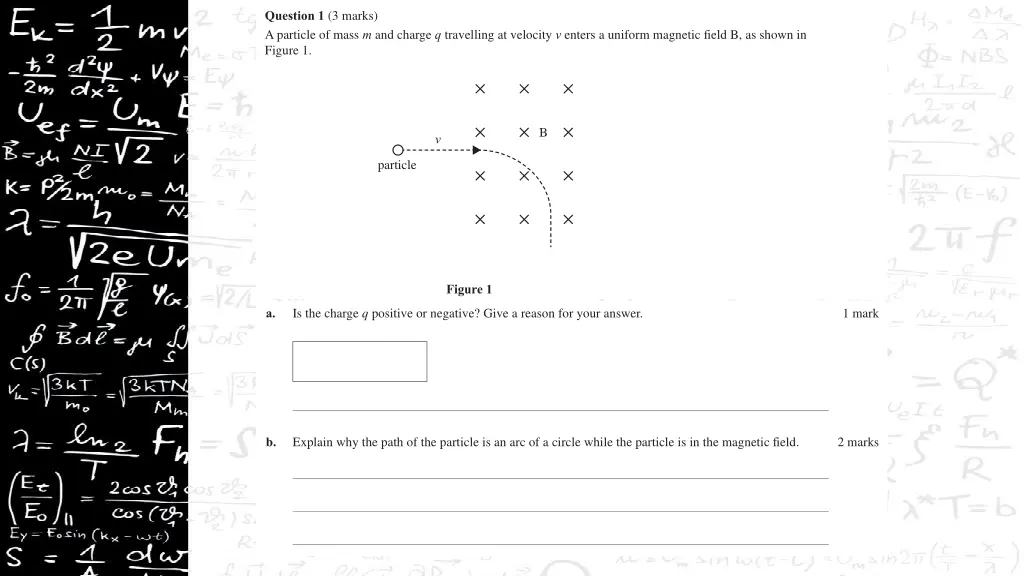 2019 physics exam