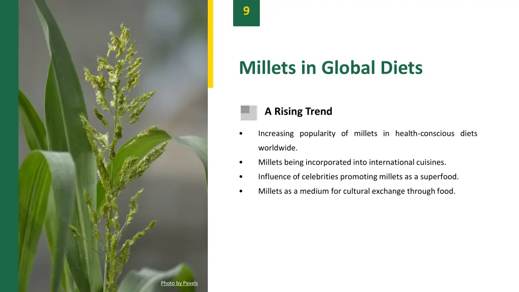 slide11
