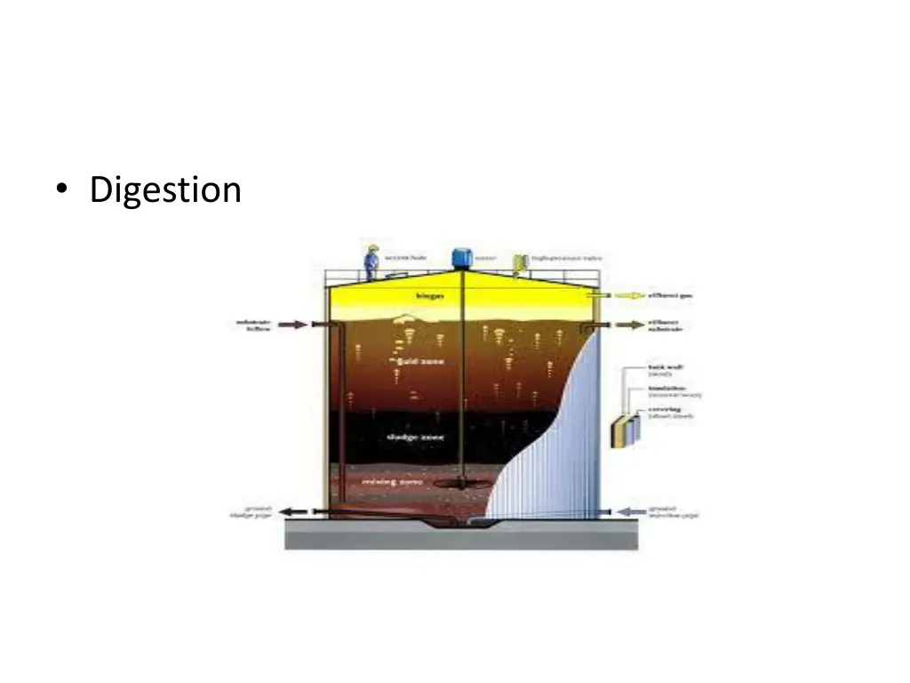 digestion